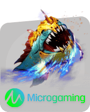 NAGA6D MicroGaming