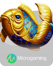 NAGA6D MicroGaming