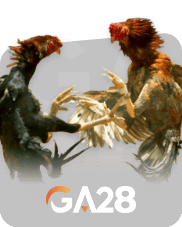 NAGA6D GA28